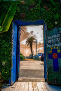 Vivid blue doorway draped in tropical plants framing a palm tree against stormy sky in Kalk Bay with Muchas Gracias painted door
