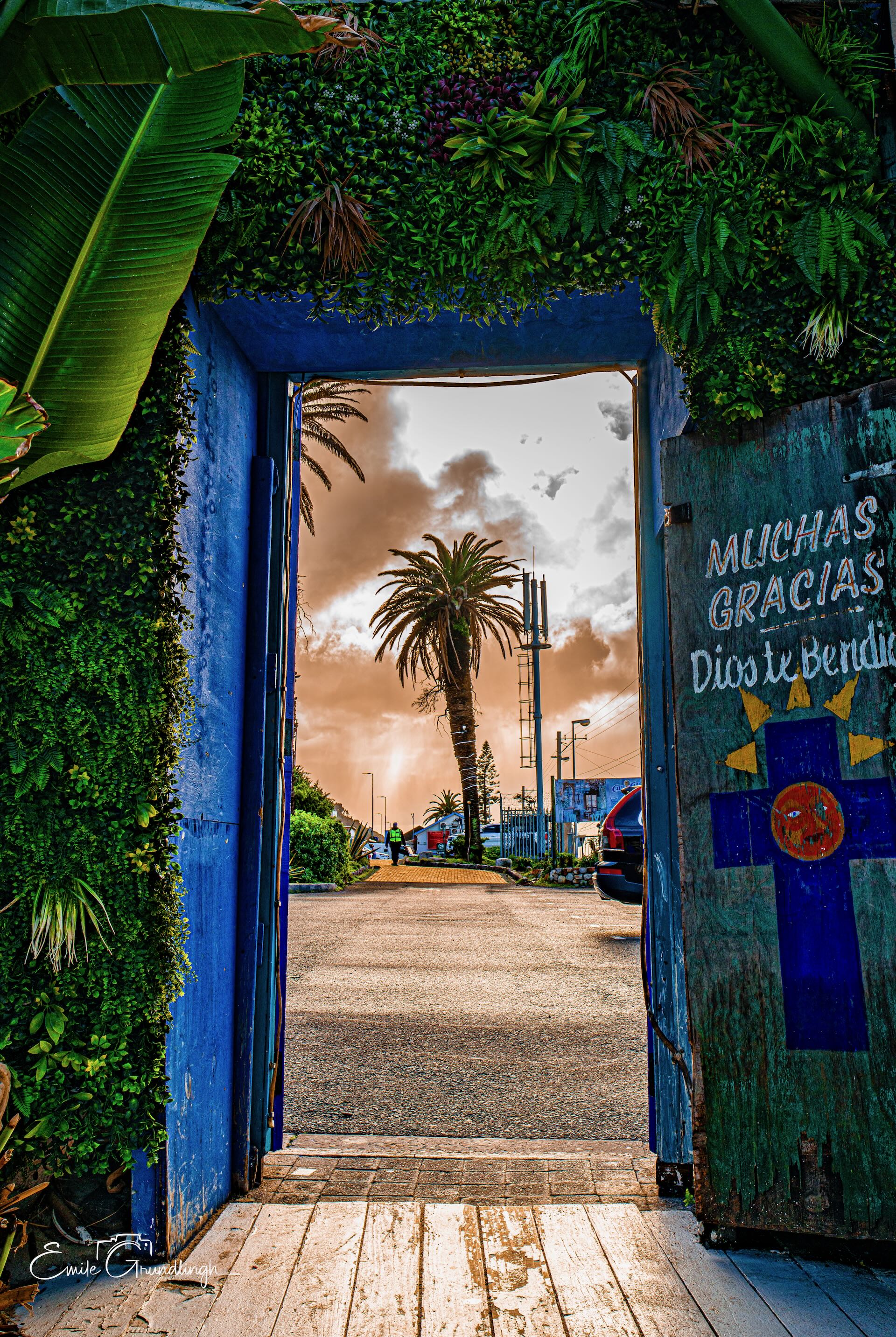 Vivid blue doorway draped in tropical plants framing a palm tree against stormy sky in Kalk Bay with Muchas Gracias painted door