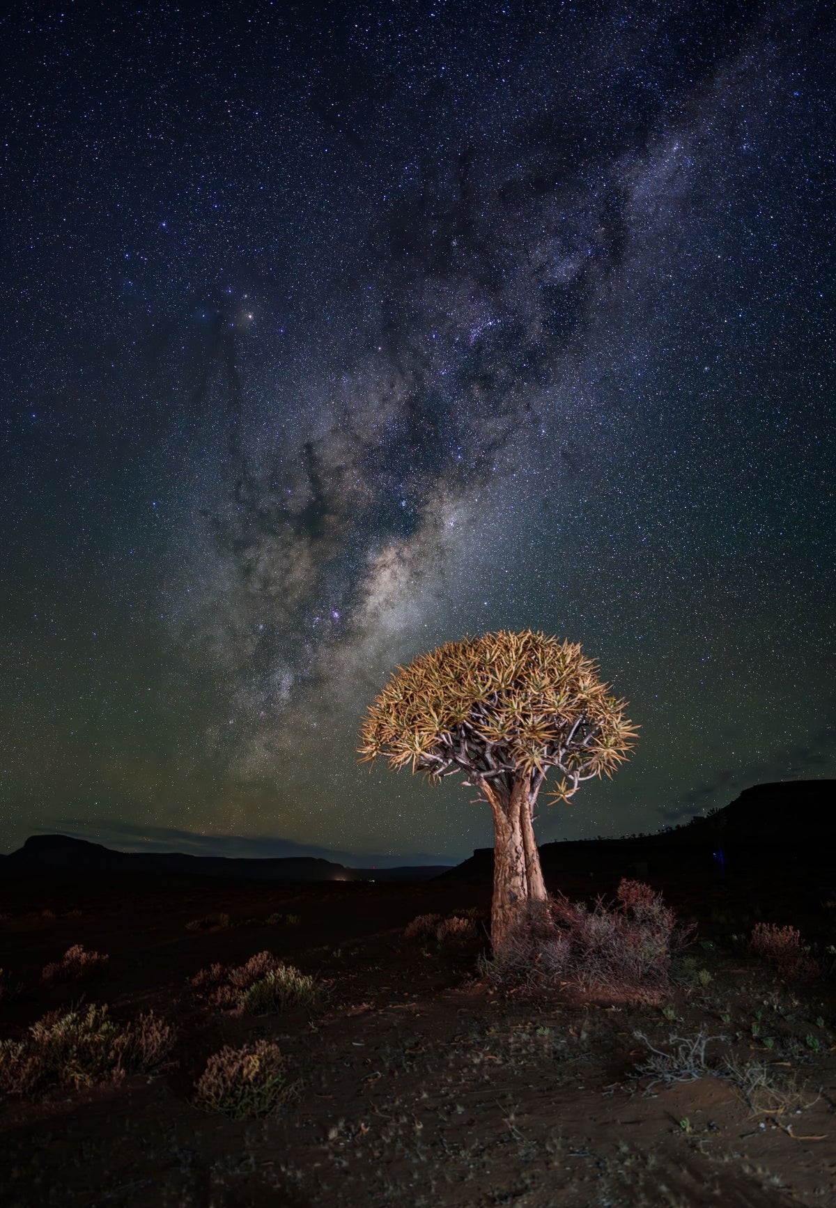 Centred in the Cosmos — Gannabos