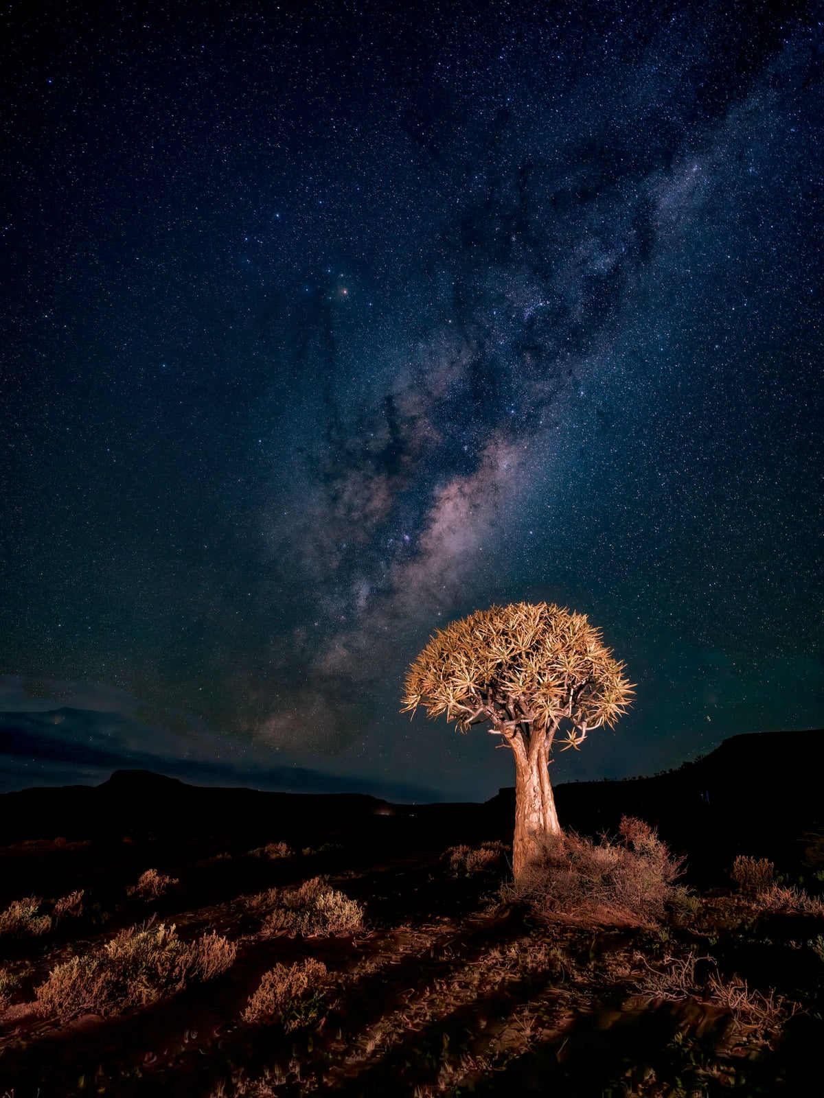 Lit by Starlight — Gannabos