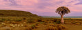 Pink Skies at Gannabos