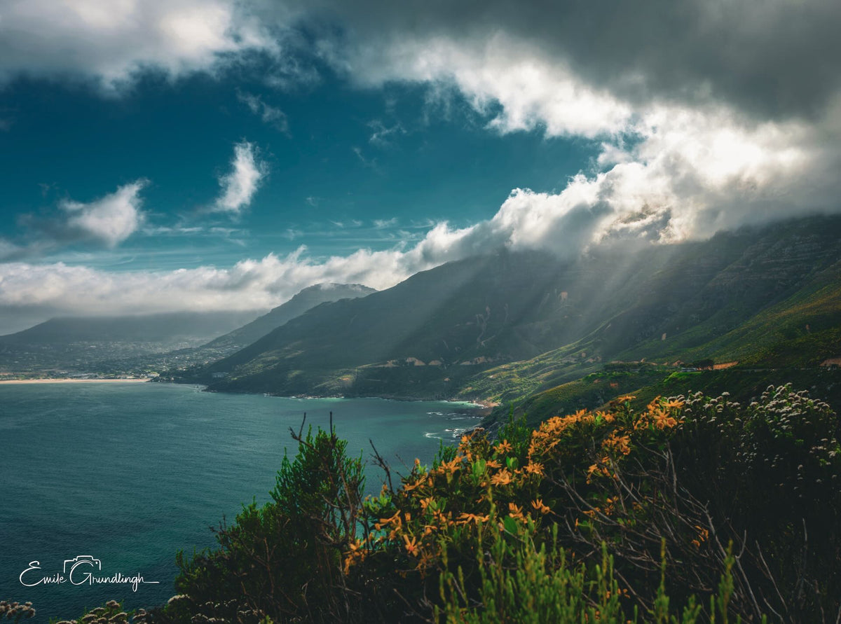 God rays breaking through storm clouds over Hout Bay with golden proteas in foreground by Emile Grundlingh