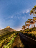 Milky Way arching over Lion's Head from Signal Hill Road with pine trees and mist at night