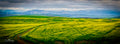 Aerial panorama of canola valley with wind turbines on the mountain ridge under moody clouds