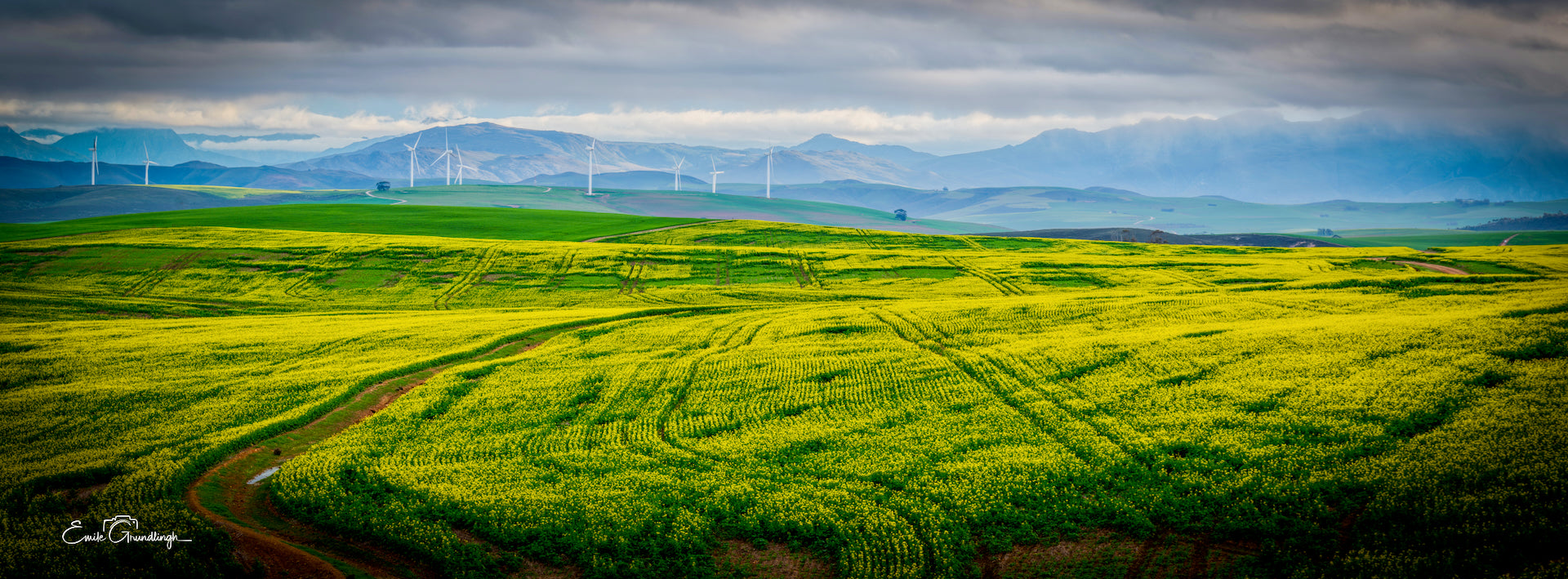 Aerial panorama of canola valley with wind turbines on the mountain ridge under moody clouds