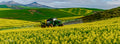 Crop sprayer working through golden canola fields with mountain peak in the background