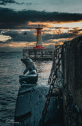 Kalk Bay bronze seal statue on harbour wall gazing towards lighthouse at dramatic stormy sunset with anchor chain