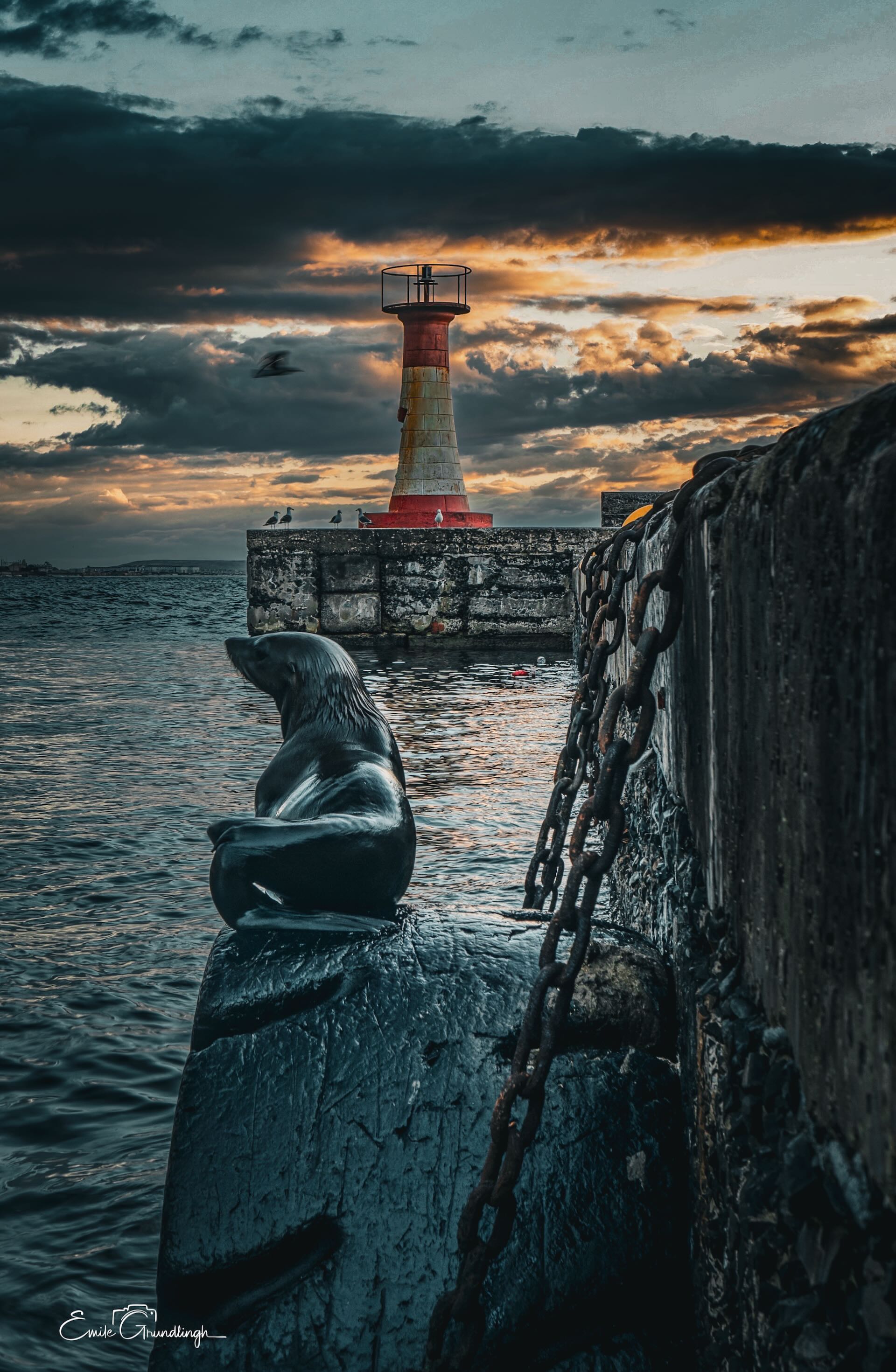 Kalk Bay bronze seal statue on harbour wall gazing towards lighthouse at dramatic stormy sunset with anchor chain