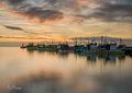 Kalk Bay colourful fishing fleet moored in glassy harbour water at golden sunrise with soft pink clouds