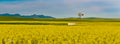 Solitary windmill and water tank on a vast golden canola plain with mountains on the horizon
