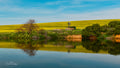 Farm dam reflecting golden canola hillside, windmill and bare tree under a blue sky