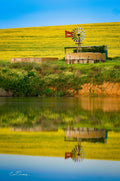 Climax windmill and water tank reflected in a still farm dam with golden canola hillside backdrop