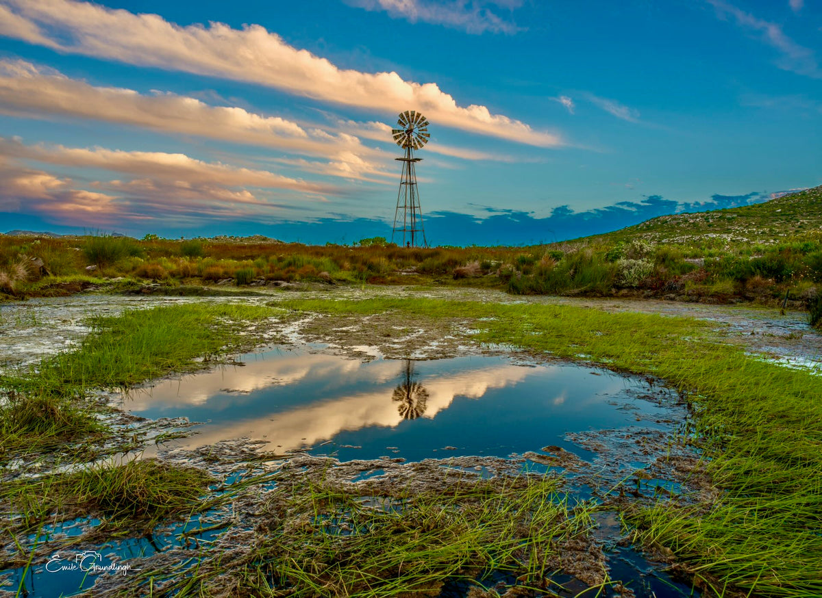 Lone windmill reflected in a still water pool near Cape Point, with dramatic pink-lit clouds overhead