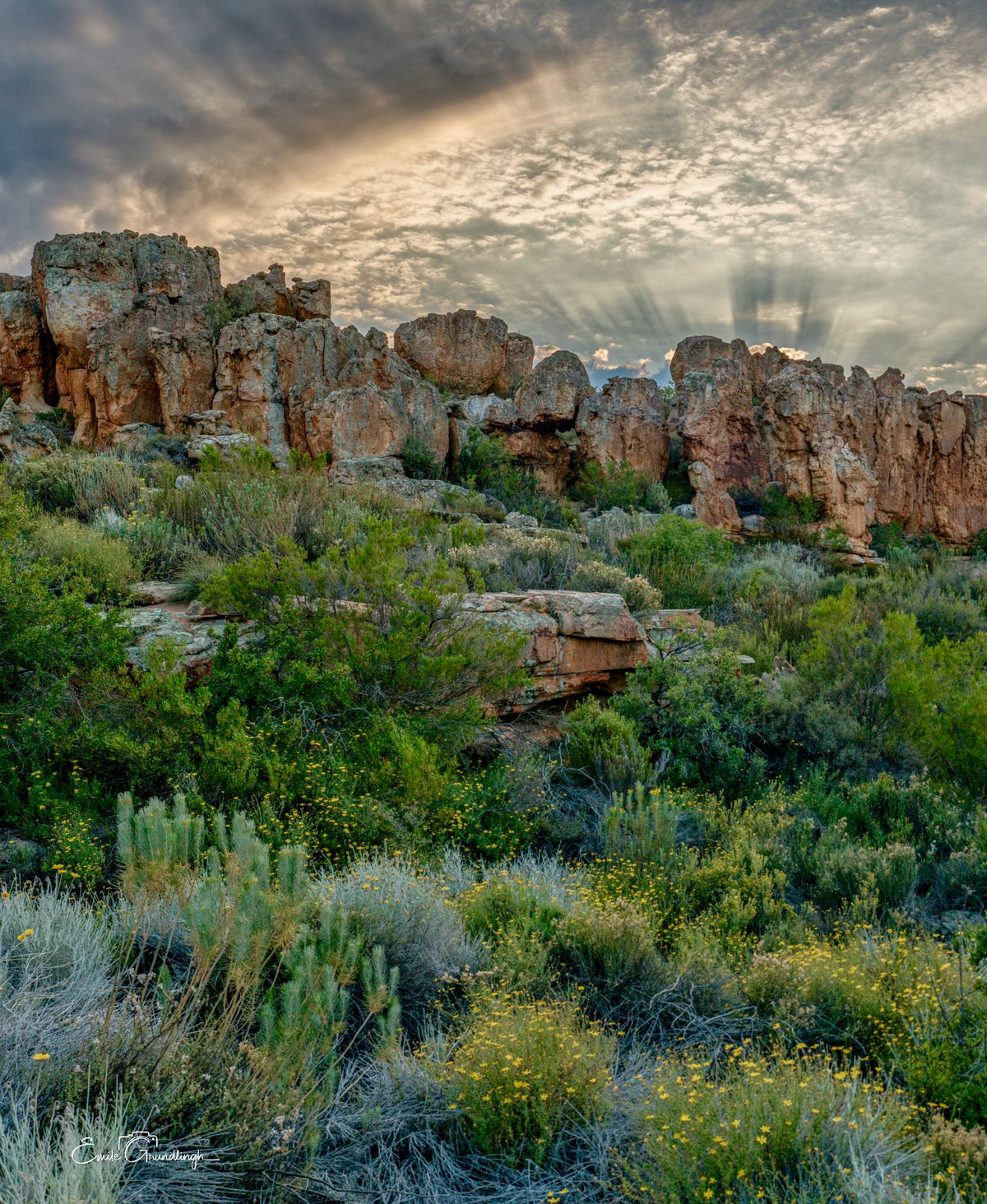 Dramatic crepuscular rays breaking through clouds over Kagga Kamma sandstone cliffs and fynbos, Cederberg