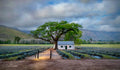 The Farmhouse at Dusk — Franschhoek
