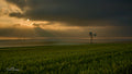 Lone windmill in green fields outside Riebeek Kasteel beneath dramatic clouds and golden sunlight, photographed by Emile Grundlingh.