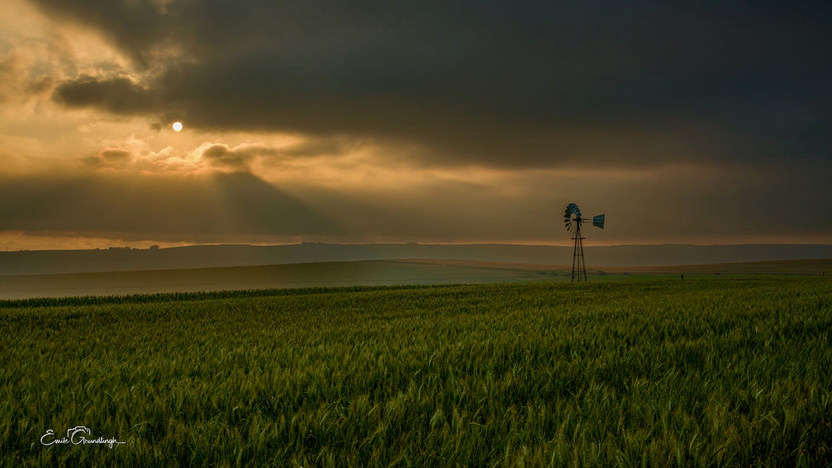 Lone windmill in green fields outside Riebeek Kasteel beneath dramatic clouds and golden sunlight, photographed by Emile Grundlingh.