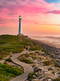 The Walk to Slangkop – aerial view of winding boardwalk leading to Slangkop Lighthouse at pink sunset
