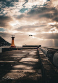 Ground-level view along wet Kalk Bay harbour wall towards red lighthouse with dramatic light rays and soaring seagulls