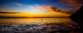 Lone seagull wading in sunset reflections on Noordhoek Long Beach by Emile Grundlingh