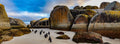 Colony of African Penguins marching between giant granite boulders at Boulders Beach under dramatic cloudy sky