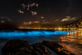 Bioluminescent waves glowing electric blue at Glen Cairn Beach at night with Fish Hoek city lights reflecting in water under starry sky