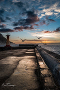 Four seagulls in mid-flight above Kalk Bay harbour wall at golden sunrise with red lighthouse and Cape Point silhouette