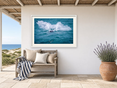 A Whale's Thunder framed in a whitewashed coastal veranda above a teak bench